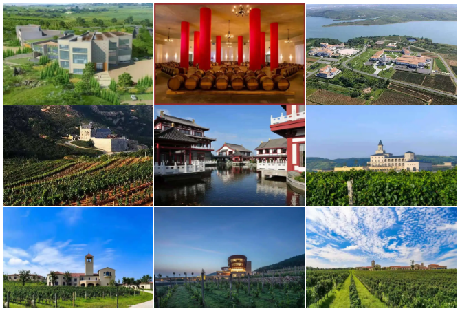 烟台葡萄酒产区巡展邂逅“人间天堂”杭州，仙境佳酿备受赞誉！