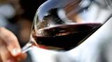 葡萄酒市速览｜前5月酒饮料等制造业利润总额同增38.6%；新西兰葡萄减产37万吨…