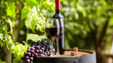 喝葡萄酒有什么作用，有些什么功效？