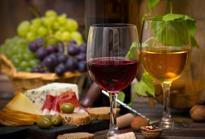 简述适量饮用葡萄酒对身体有什么好处？
