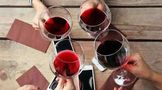 品鉴葡萄酒的方法，怎么饮用？