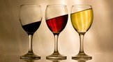 简述葡萄酒保质期，适饮期在什么时候？