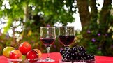 葡萄酒有什么作用，有利于健康是不是？