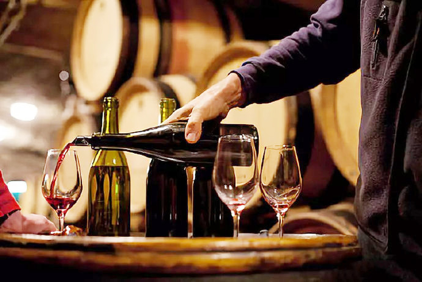 葡萄酒用什么葡酿造，常见葡萄品种