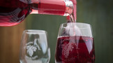 葡萄酒如何饮用，教你如何品尝新酿葡萄酒