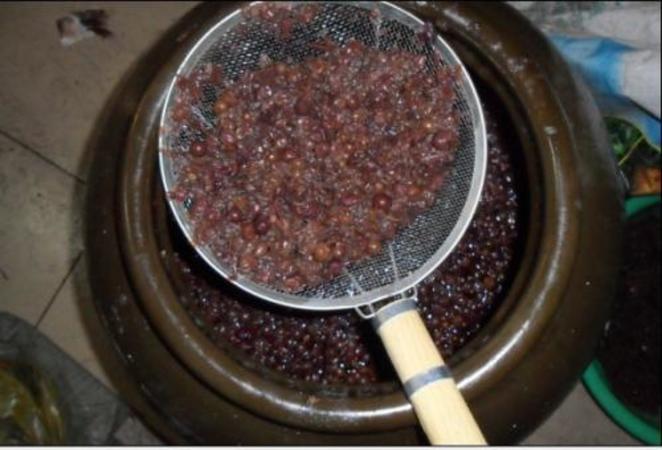 自制葡萄酒几天可以滤去皮和籽(自制葡萄酒多久可以过滤葡萄皮)