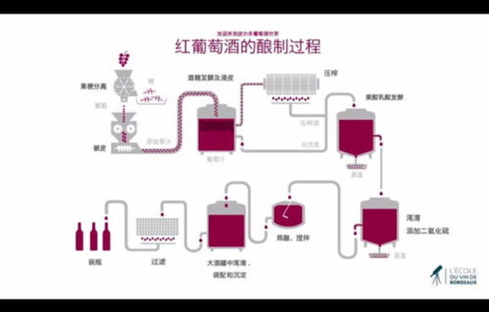 怎么酿造葡萄酒视频(葡萄酒的制作方法视频)