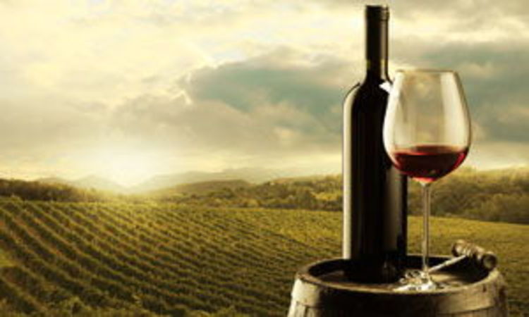 葡萄酒生产国(主要葡萄酒生产国)