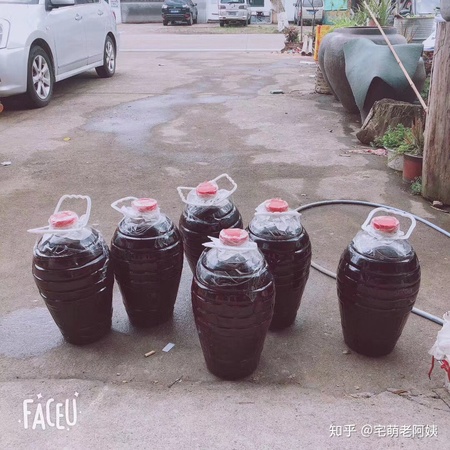 什么酒泡杨梅最好(什么酒泡杨梅最好喝)