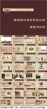 葡萄酒的概念与分类(葡萄酒的定义和分类)