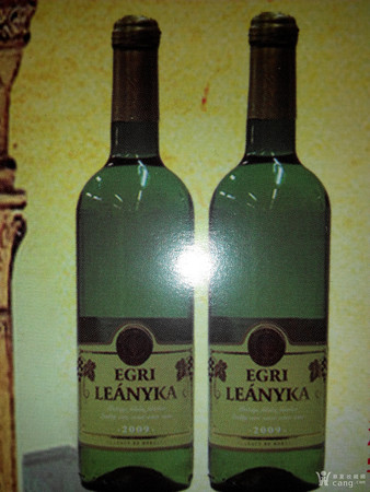 鉴别匈牙利进口葡萄酒(如何识别进口葡萄酒)