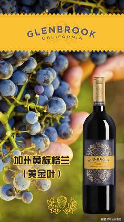 最适合加州葡萄酒会的背景音乐(加州葡萄酒产区)