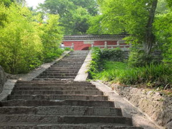 古道酒价格(古道风酒价格)
