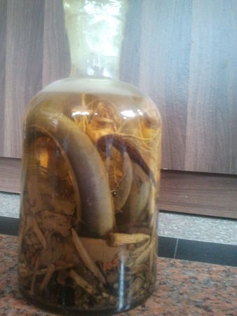 自制蛇酒价格(蛇酒多少钱)