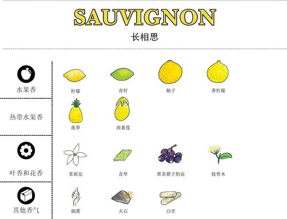 什么葡萄品种酿酒好(什么葡萄适合酿酒)
