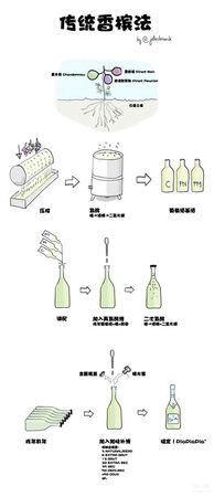 白葡萄酒的酿造方法(白葡萄酒的酿造方法有哪些)