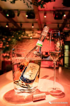 伯乐公牛血葡萄酒(公牛血葡萄酒怎么样)