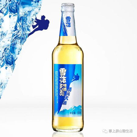 雪花啤酒勇闯天涯批发(雪花啤酒勇闯天涯批发价)