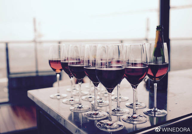 怎么来分析假红酒(怎么分辨假红酒)