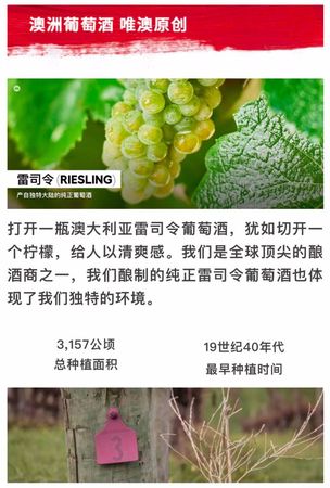 葡萄种在什么土壤合适(葡萄生长在什么土壤)