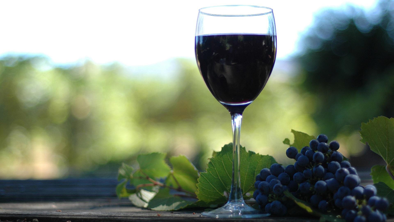 葡萄与葡萄酒的起源及发展历史(葡萄酒的来源及发展史)