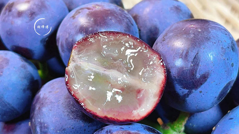 如何判断葡萄是否成熟(葡萄是秋天成熟的吗)