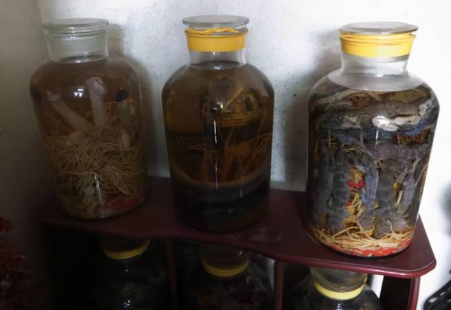 泡桃花用什么酒好(桃花酒兑什么好喝)