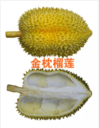喝酒后多久能吃榴莲吗(喝酒后多久能吃榴莲吗?)