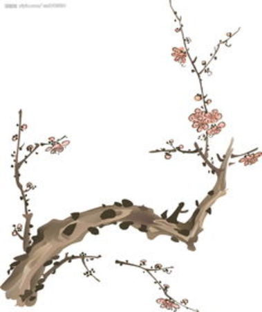 五粮液之头梅兰菊竹(五粮液 梅兰竹菊)
