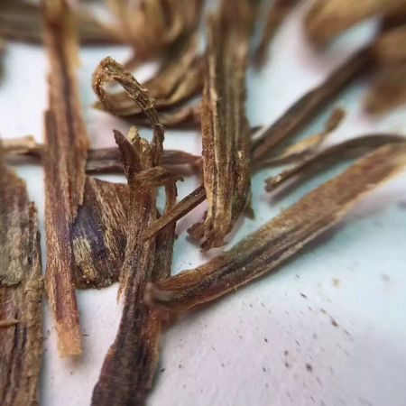 虎头蜂有什么作用与功效(虎头蜂有什么功效和作用)