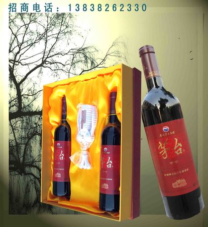 五粮液榴之恋果酒进价(五粮液榴之恋果酒价格)