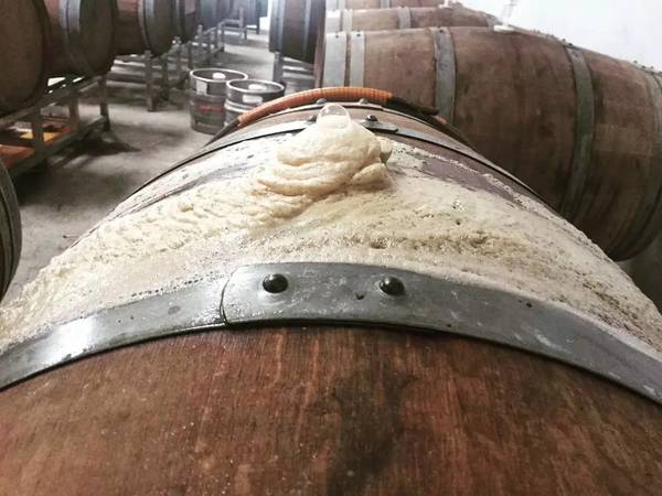 桶啤如何开(啤酒桶怎么开)