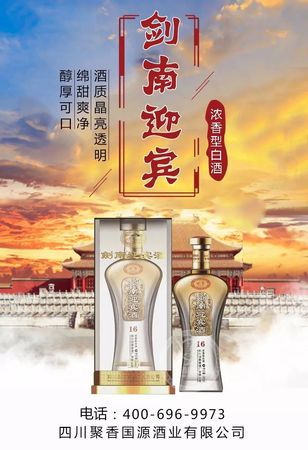 剑南迎宾酒10价格(剑南迎宾酒10年价格)