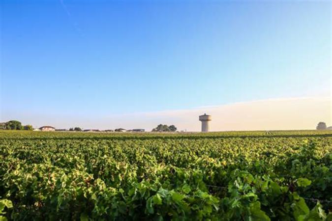 葡萄酒的10个重要波尔多地名,奥比昂产自哪个村庄