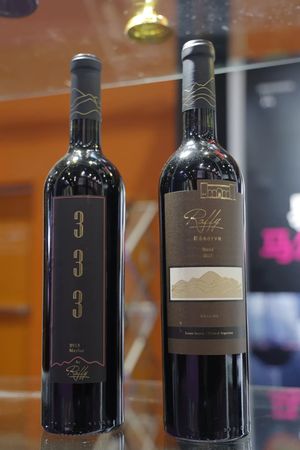 酒庄什么酒(酒庄有什么酒)