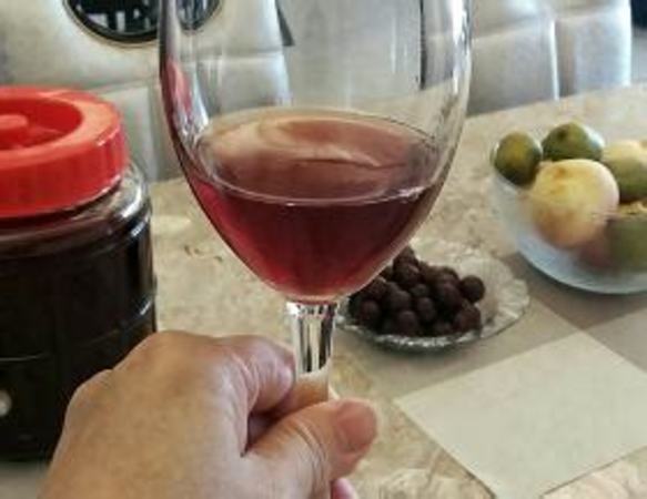自己酿的葡萄酒怎么过滤,家酿葡萄酒怎么过滤