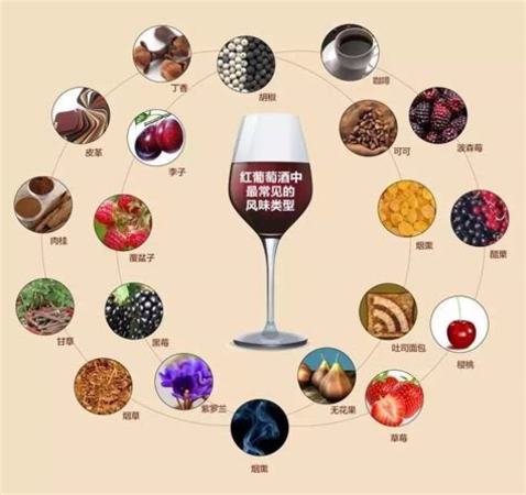 葡萄酒颜色深浅代表什么,颜色深的葡萄怎么样