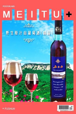窖藏人参山葡萄酒(窖藏陈酿山葡萄酒)