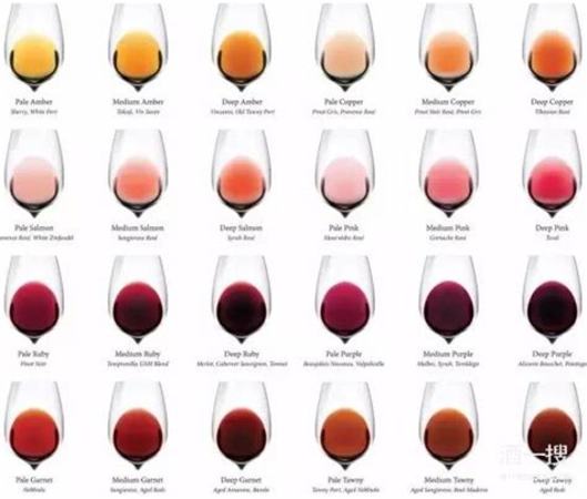 最详尽的葡萄酒分类大全,颜色淡红的葡萄酒是什么酒