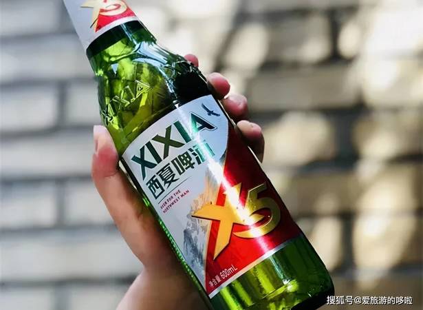 西夏啤酒x5多少度(西夏x5啤酒几度)