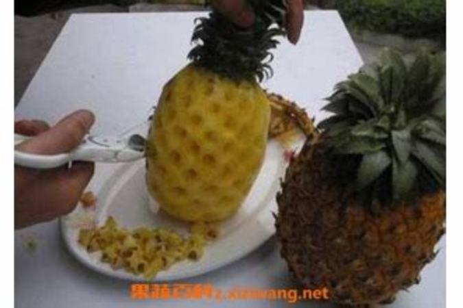 树菠萝菠萝酒怎么制作方法,菠萝酒制作方法