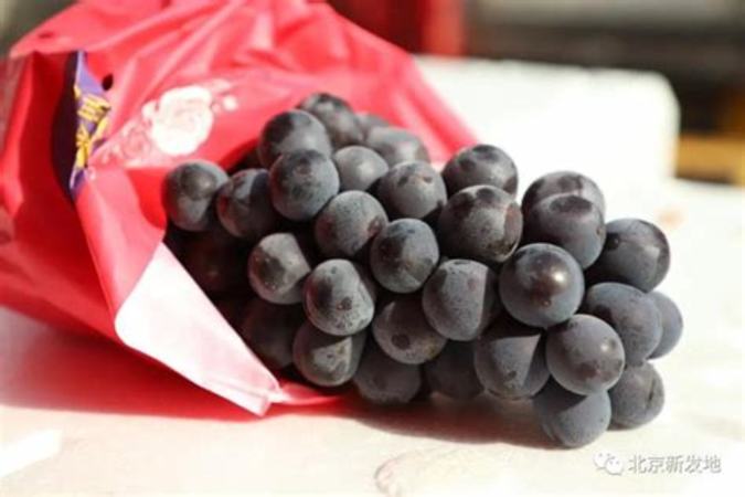 夏季葡萄应该怎么保存,夏天如何保存葡萄