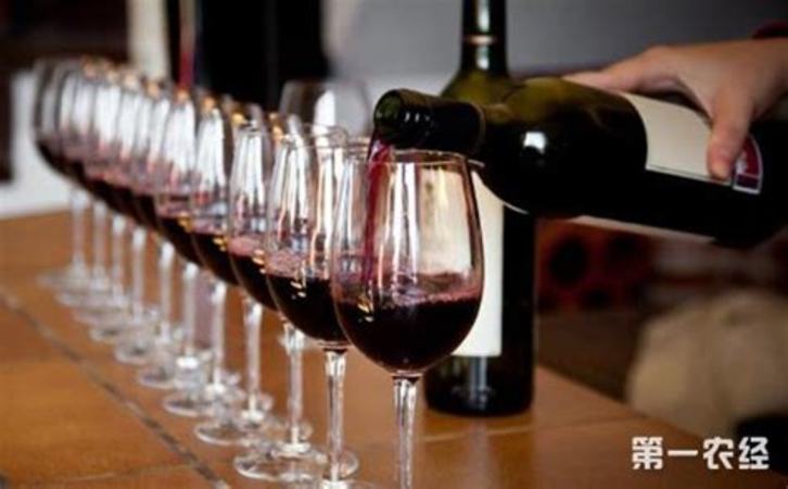 葡萄酒的年份是代表什么,什么是葡萄酒的年份差异