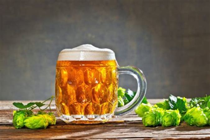 啤酒为什么能减肥吗,喝啤酒还能减肥