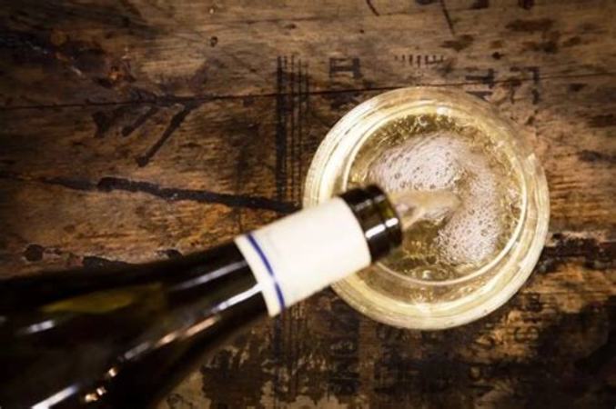 为什么葡萄酒会酸会苦,葡萄酒为什么会变酸