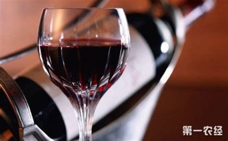 如何辨别葡萄酒好坏,品尝葡萄酒几步鉴别葡萄酒好坏的技巧