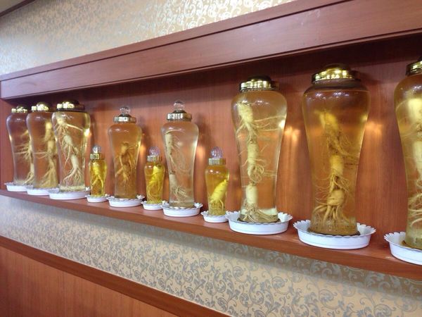 金色人参酒价格(黄金人参酒价格)