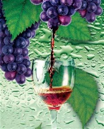葡萄酒是怎么酿出来的,怎么酿出好的葡萄酒