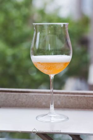 欧洲买什么酒好(欧洲有什么酒)