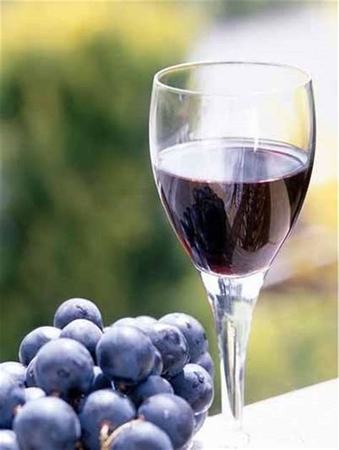 酿造红葡萄酒的常见品种,关键词